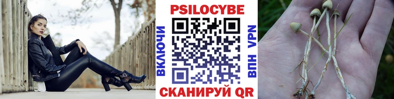 Псилоцибиновые грибы мухоморы  МЕГА как зайти  Спасск-Рязанский 